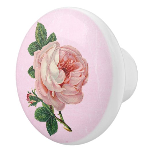 roze rode witte knop (Rechts)