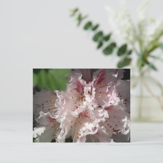 Roze Rododendron 2 Briefkaart (Staand voorkant)