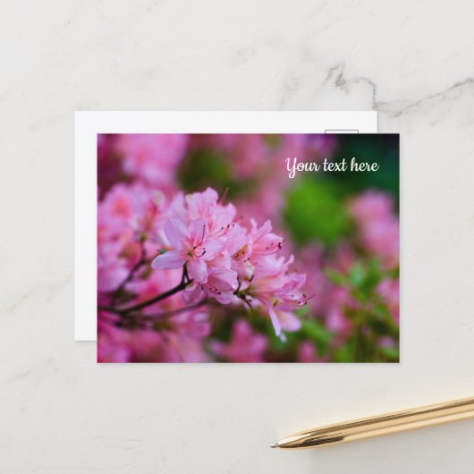 Roze Rododendron Ansichtkaart Briefkaart (Voorkant / Achterkant in situ)