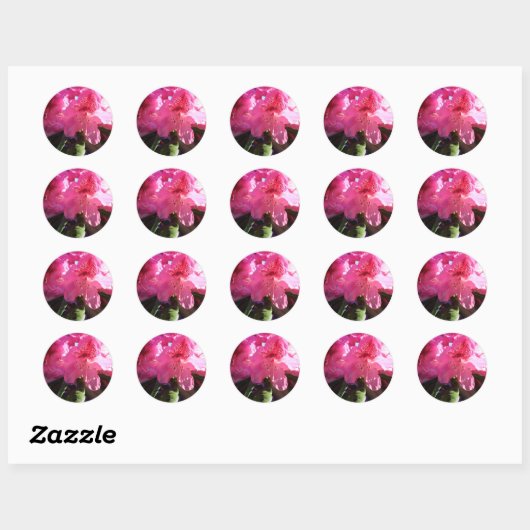 Roze rododendron bloemen ronde sticker (Vel)