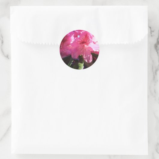Roze rododendron bloemen ronde sticker (Tas)