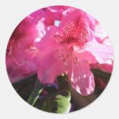 Roze rododendron bloemen ronde sticker (Voorkant)