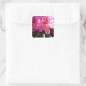 Roze rododendron bloemen vierkante sticker (Tas)