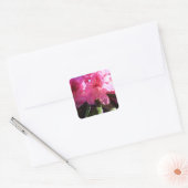 Roze rododendron bloemen vierkante sticker (Envelop)