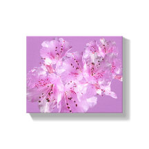  roze rododendron bloesem bloesem mooi