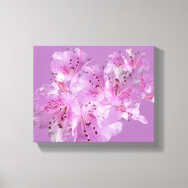 roze rododendron bloesem bloesem mooi canvas afdruk