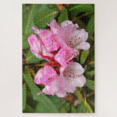 Roze Rododendron, Dandenong Ranges, Australië Legpuzzel (Verticaal)