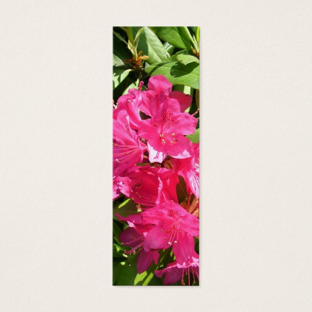 Roze rododendron en blauwe iris mini visitekaartjes (Voorkant)