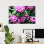Roze rododendrons fotografie poster (Thuiskantoor)