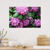 Roze rododendrons fotografie poster (Keuken)