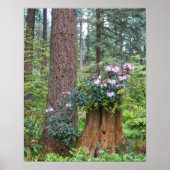 Roze Rododendrons op Boomstomp Bloemen Poster (Voorkant)