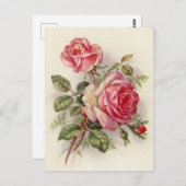  roze roest schattig briefkaart (Voorkant / Achterkant)