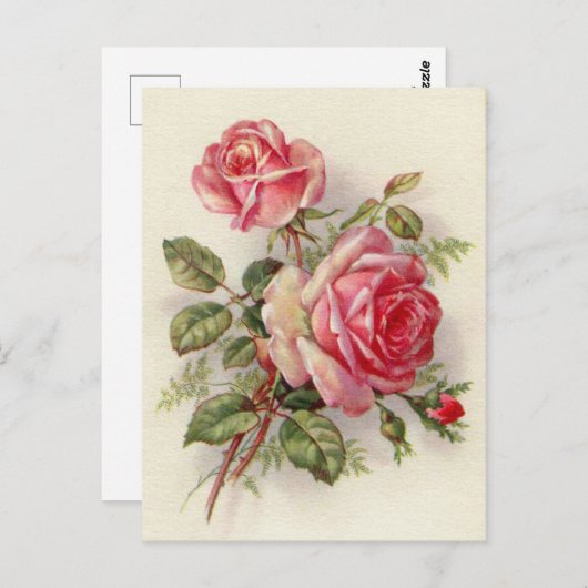  roze roest schattig briefkaart (Voorkant / Achterkant)