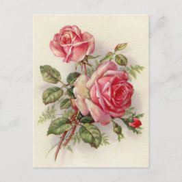 roze roest schattig briefkaart