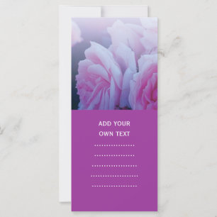 Roze romantische rozen bloemen