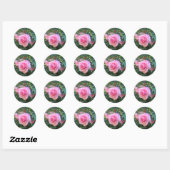 Roze ronde roosstickers sticker (Vel)