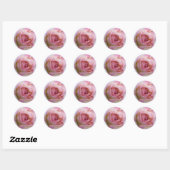 Roze Ronde Sticker (Vel)