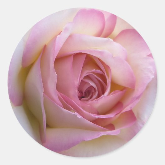 Roze Ronde Sticker (Voorkant)