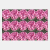 Roze Rood Roze Rozen bloem Waterverf Schilderen Ku Inpakpapier Vel (Voorkant)