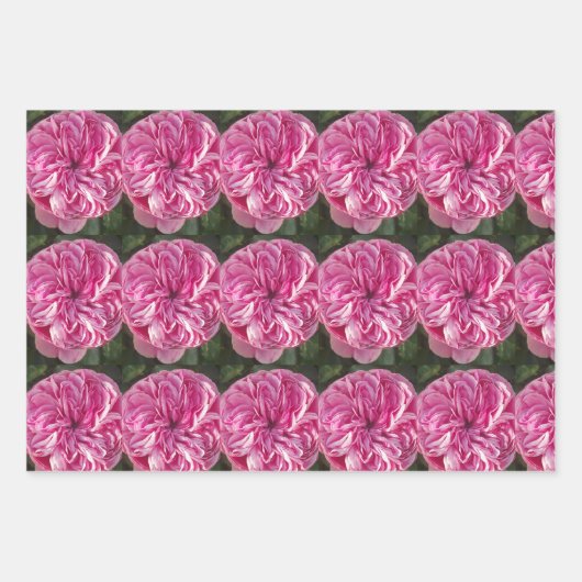 Roze Rood Roze Rozen bloem Waterverf Schilderen Ku Inpakpapier Vel (Voorkant)