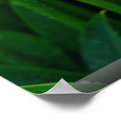 Roze roodbruine lib poster (Hoek)