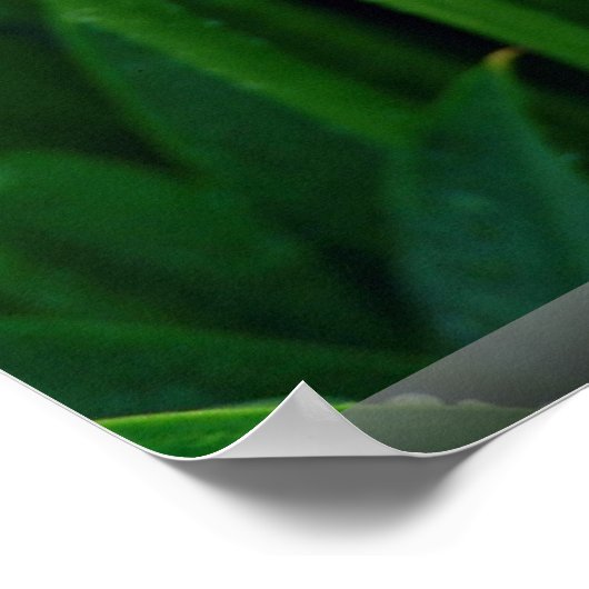 Roze roodbruine lib poster (Hoek)