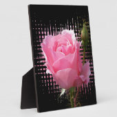 roze roodvlek fotoplaat (Zijkant)