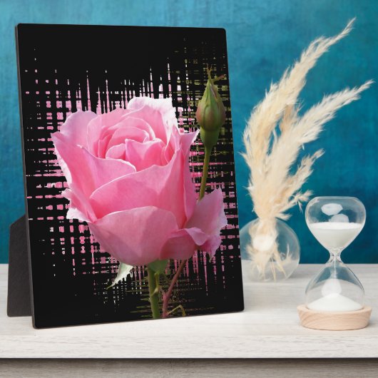 roze roodvlek fotoplaat (Zijkant)