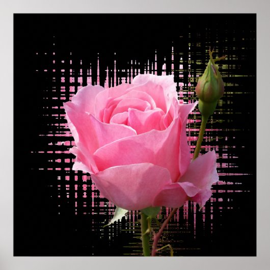 roze roodvlek poster (Voorkant)