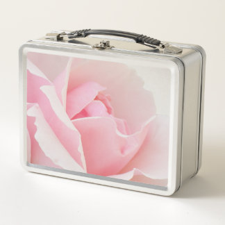 Roze roos