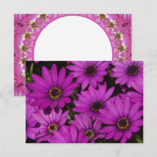 Roze Roos (Voorkant / Achterkant)