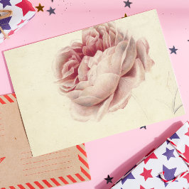 Roze Roos (1792) – Tijdloze  botanische kunst Briefkaart