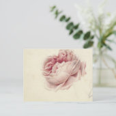 Roze Roos (1792) – Tijdloze  botanische kunst Briefkaart (Staand voorkant)