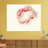 Roze Roos (1792) – Tijdloze  botanische kunst Canvas Afdruk (Insitu (Woonkamer))