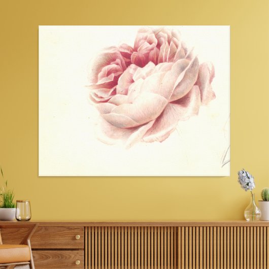 Roze Roos (1792) – Tijdloze  botanische kunst Canvas Afdruk (Insitu (Woonkamer))