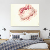 Roze Roos (1792) – Tijdloze  botanische kunst Canvas Afdruk (Insitu (Slaapkamer))