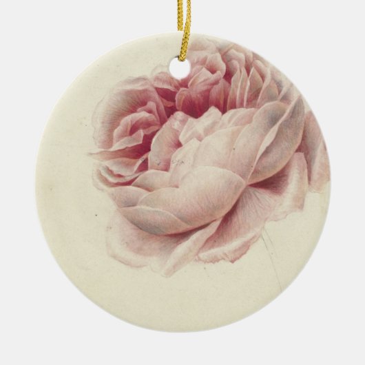 Roze Roos (1792) – Tijdloze  botanische kunst Keramisch Ornament (Voorkant)