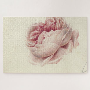 Roze Roos (1792) – Tijdloze  botanische kunst Legpuzzel