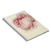 Roze Roos (1792) – Tijdloze  botanische kunst Notitieboek (Rechterzijde)