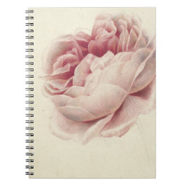 Roze Roos (1792) – Tijdloze  botanische kunst Notitieboek