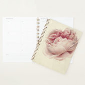 Roze Roos (1792) – Tijdloze botanische kunst Planner (Display)
