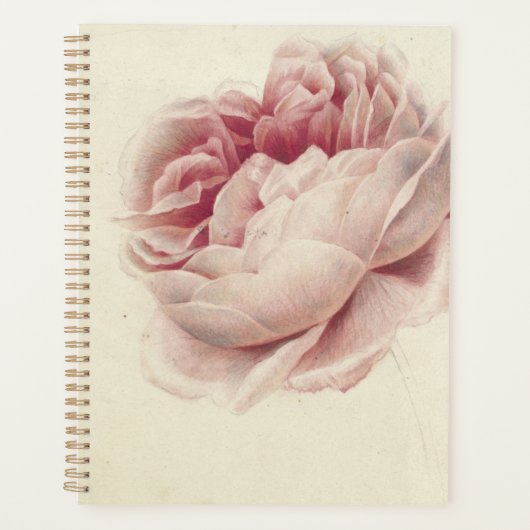 Roze Roos (1792) – Tijdloze botanische kunst Planner (Voorkant)