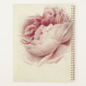 Roze Roos (1792) – Tijdloze botanische kunst Planner (Achterkant)