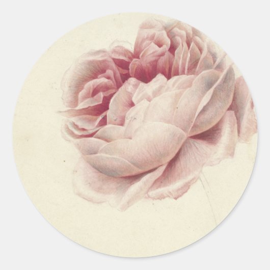 Roze Roos (1792) – Tijdloze  botanische kunst Ronde Sticker (Voorkant)
