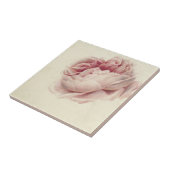 Roze Roos (1792) – Tijdloze  botanische kunst Tegeltje (Zijkant)