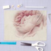 Roze Roos (1792) – Tijdloze botanische kunst Tissuepapier (Craft)