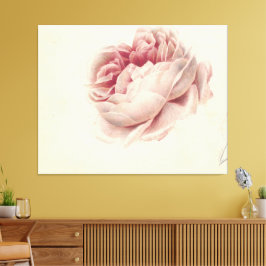 Roze Roos (1792) – Tijdloze Vintage Botanische Kun Canvas Afdruk