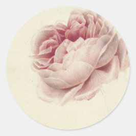 Roze Roos (1792) – Tijdloze Vintage Botanische Kun Ronde Sticker