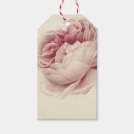 Roze Roos (1792) – Timeless Vintage Botanische Kun Cadeaulabel