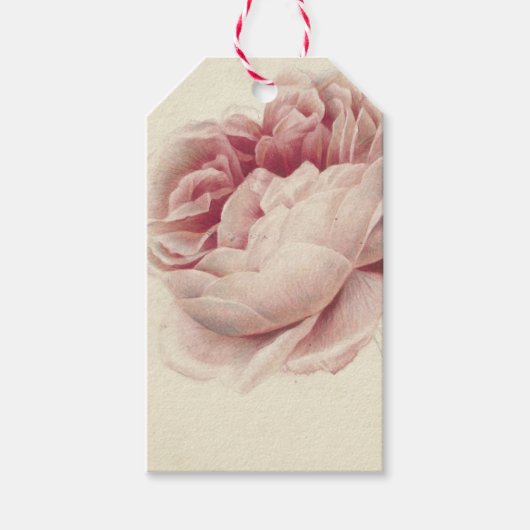 Roze Roos (1792) – Timeless Vintage Botanische Kun Cadeaulabel (Voorkant)